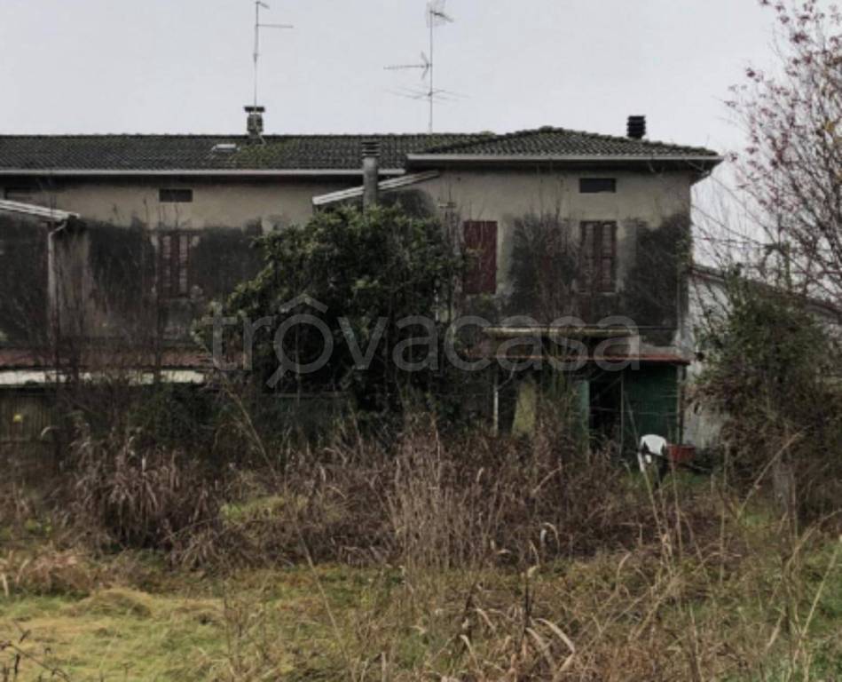 immagine annuncio 5 di 11