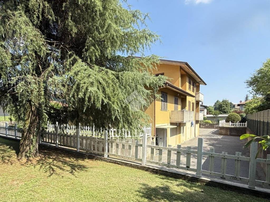 immagine annuncio 1 di 13
