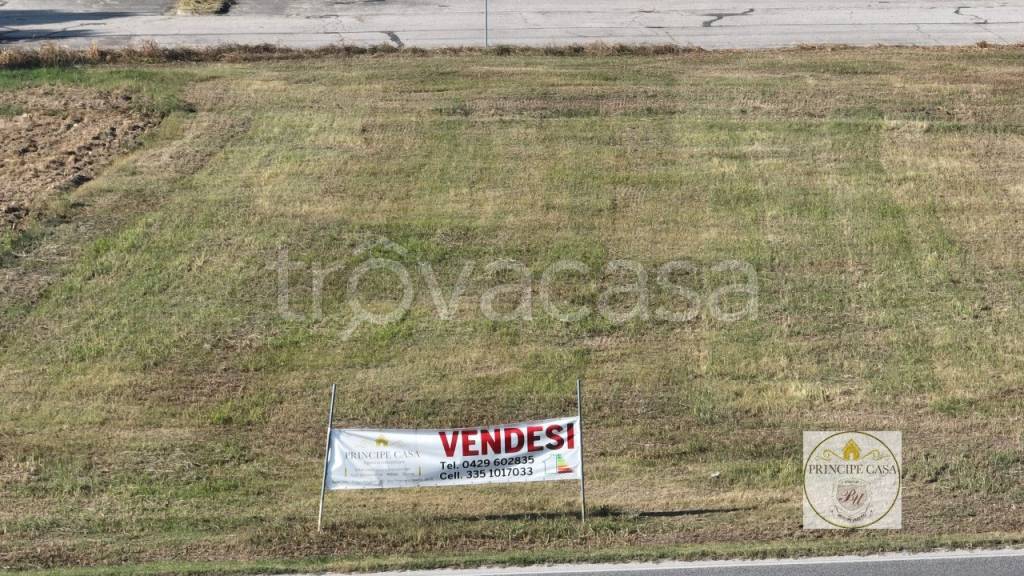 immagine annuncio 4 di 7
