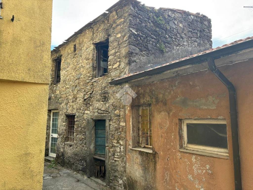 immagine annuncio 3 di 13