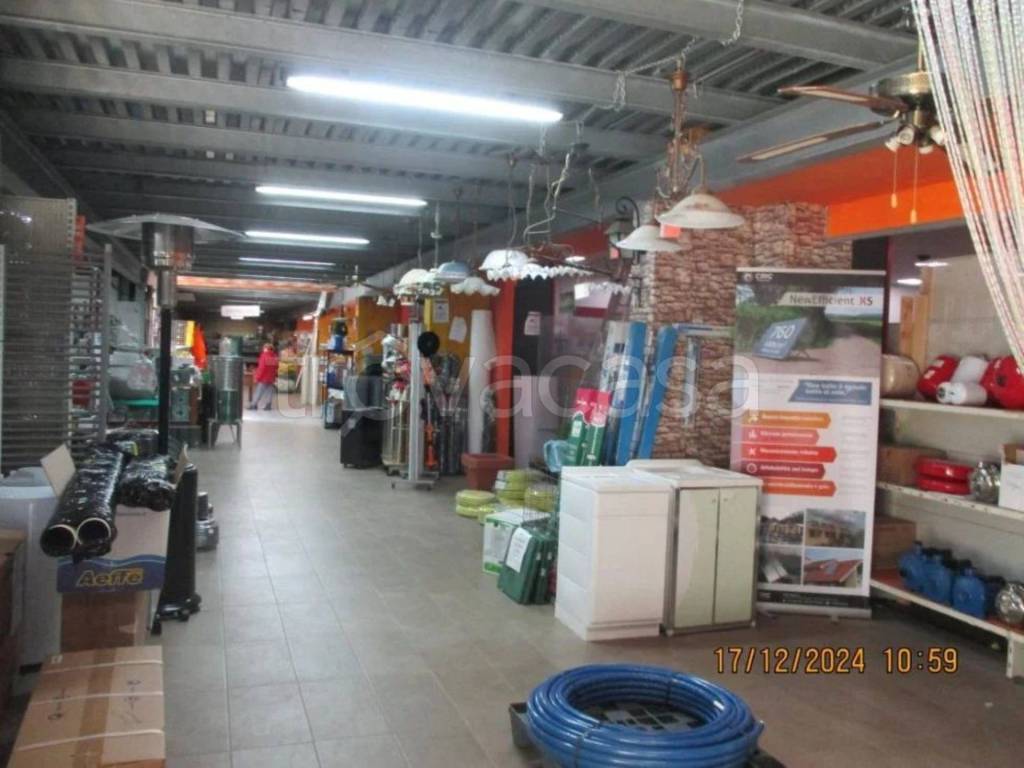 immagine annuncio 6 di 11
