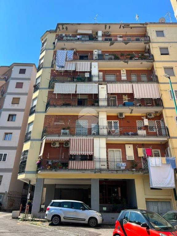 immagine annuncio 5 di 12