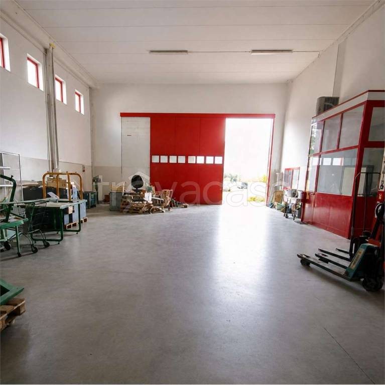 immagine annuncio 10 di 11