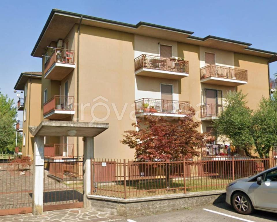 immagine annuncio 11 di 15