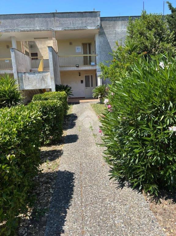 immagine annuncio 7 di 14