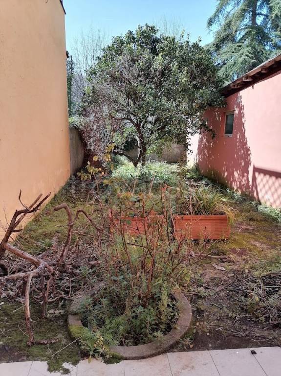 immagine annuncio 3 di 4