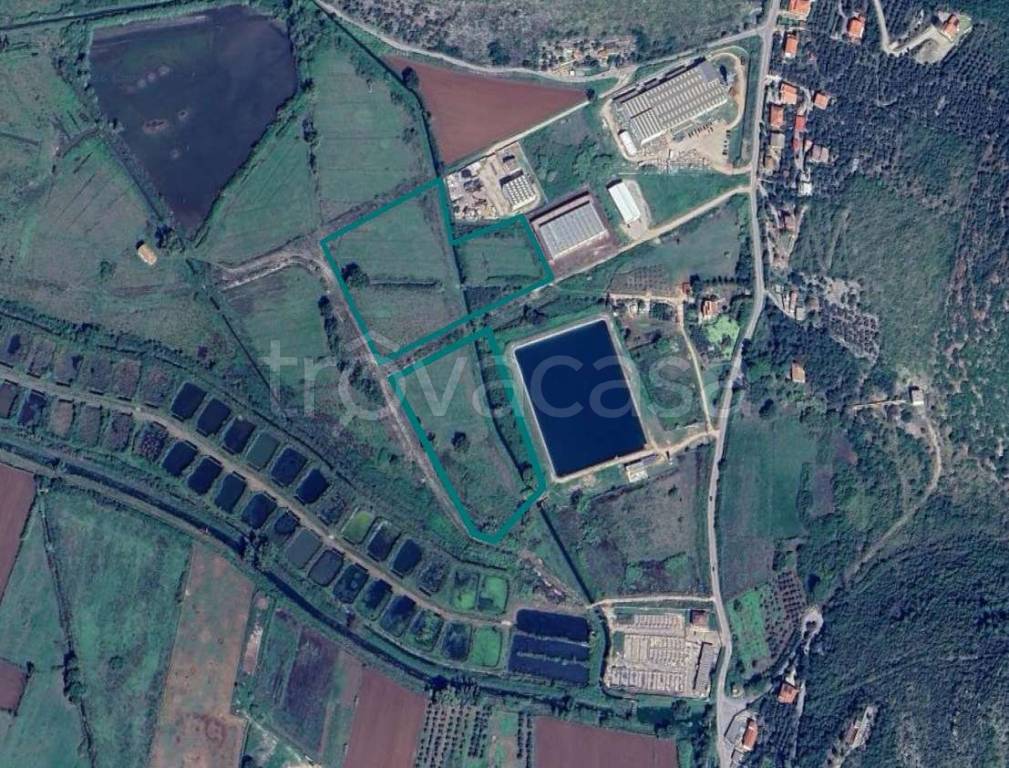 immagine annuncio 1 di 2