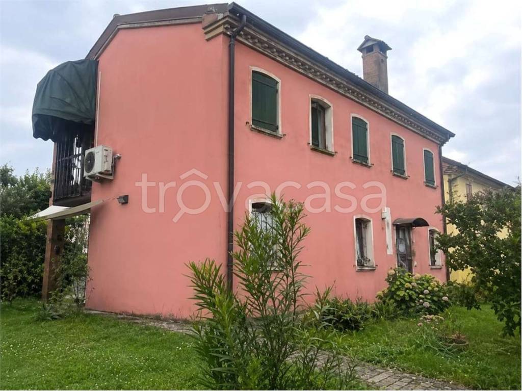 immagine annuncio 6 di 11