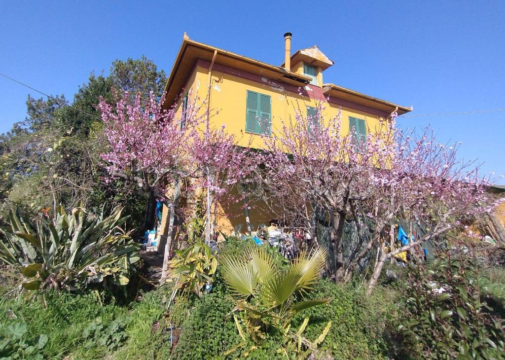 immagine annuncio 2 di 14