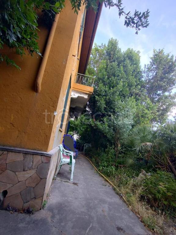 immagine annuncio 6 di 14