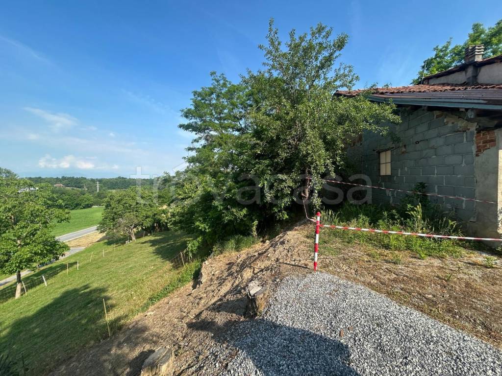 immagine annuncio 9 di 12