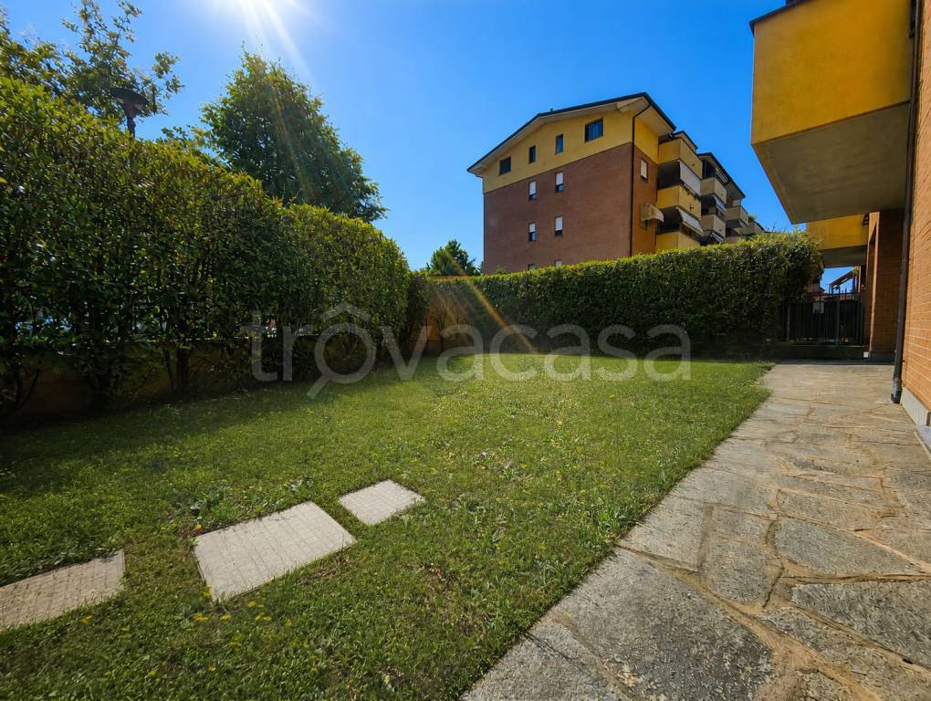 immagine annuncio 6 di 15