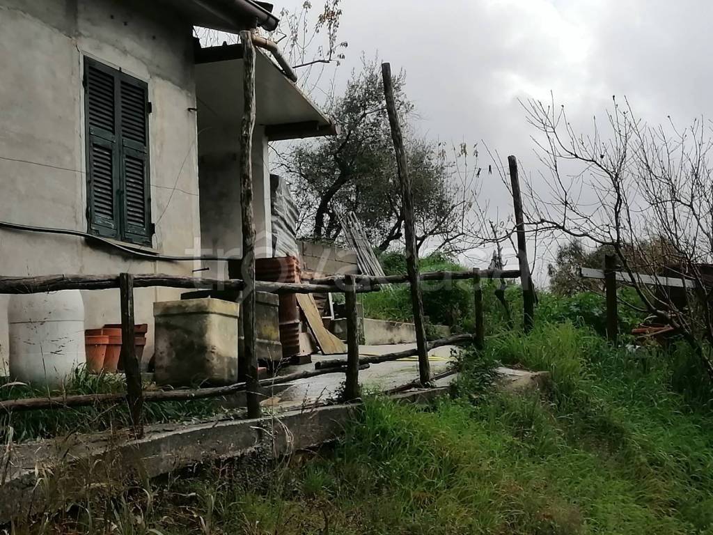 immagine annuncio 1 di 6
