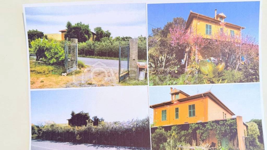 immagine annuncio 10 di 14