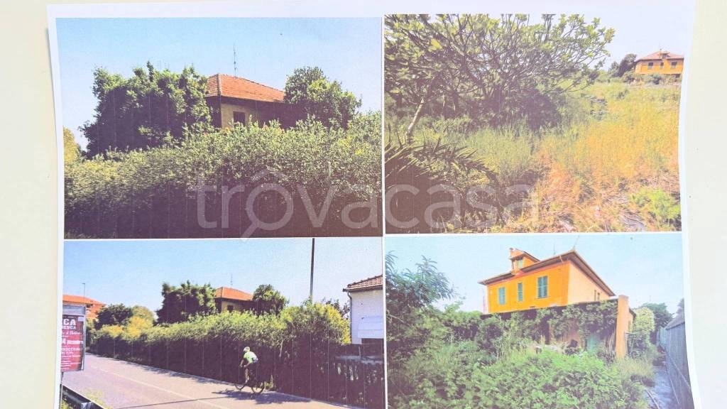 immagine annuncio 9 di 14