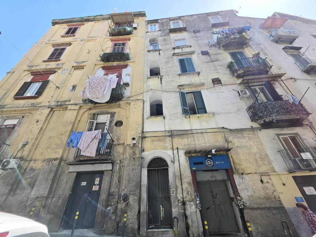 immagine annuncio 1 di 14