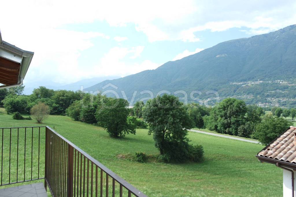 immagine annuncio 2 di 13