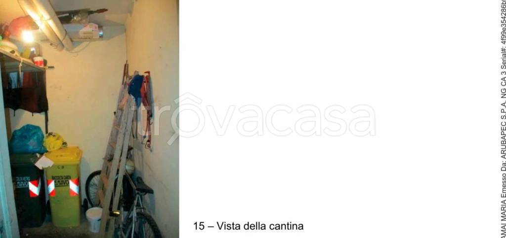 immagine annuncio 3 di 15