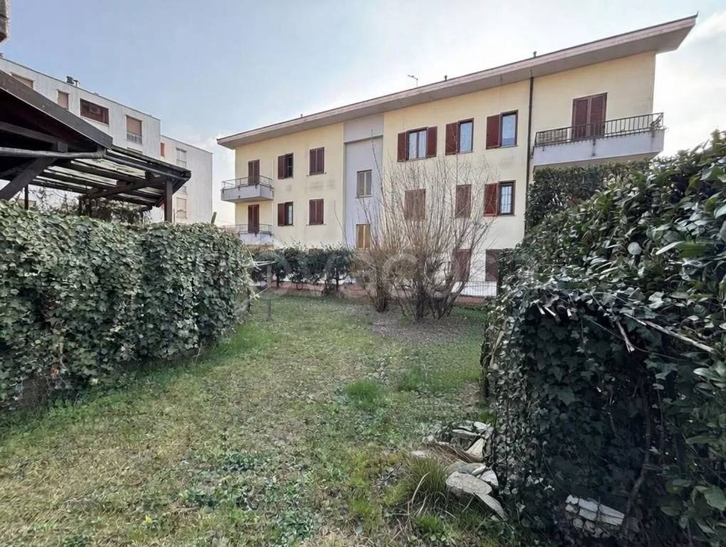 immagine annuncio 12 di 15