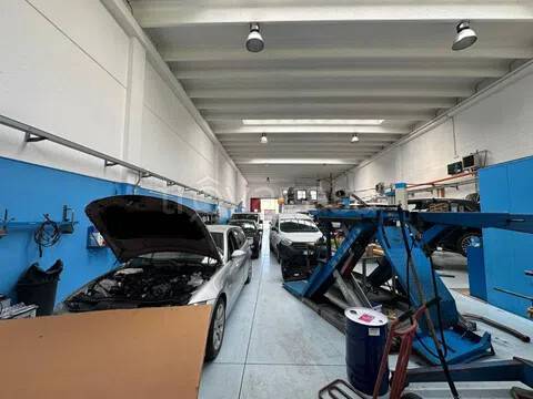 immagine annuncio 2 di 14