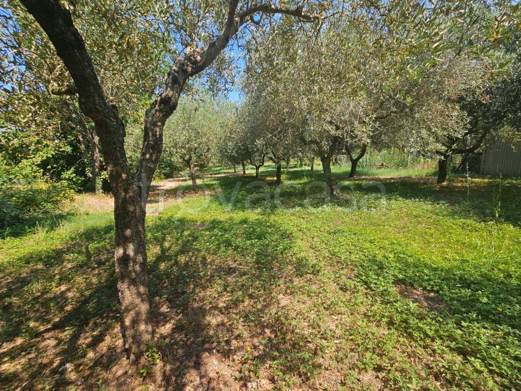 immagine annuncio 12 di 14