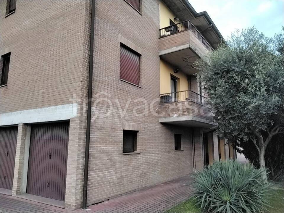 immagine annuncio 4 di 8