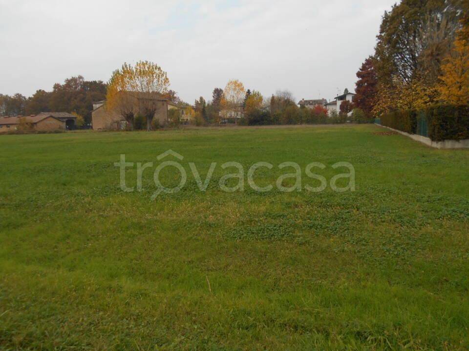 immagine annuncio 4 di 9
