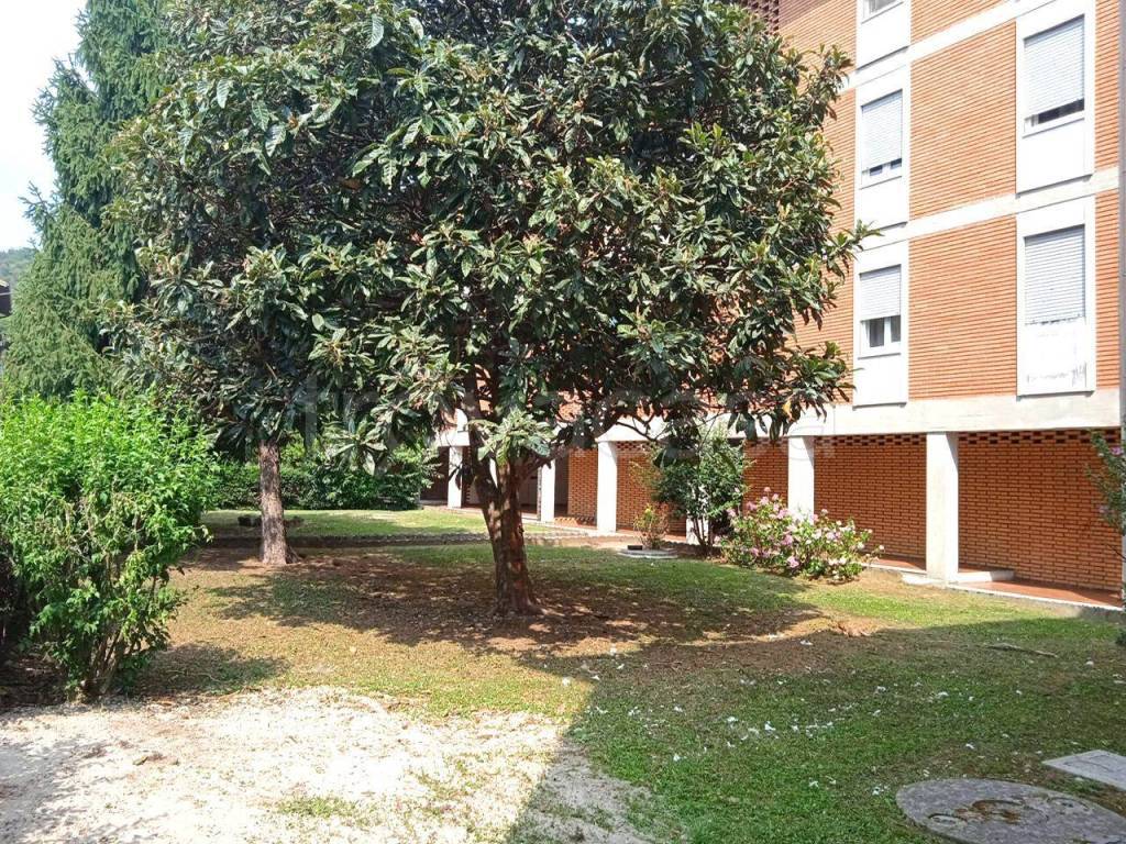 immagine annuncio 10 di 14