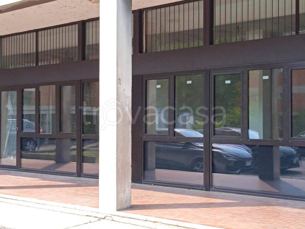 immagine annuncio 11 di 14