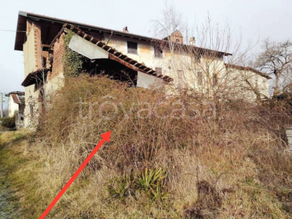 immagine annuncio 5 di 11