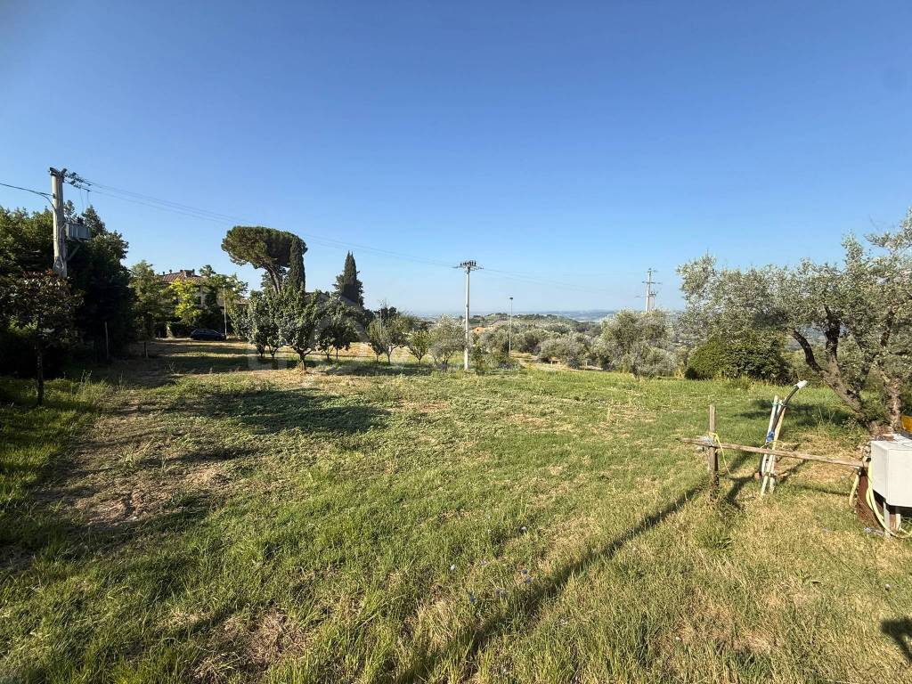 immagine annuncio 6 di 14