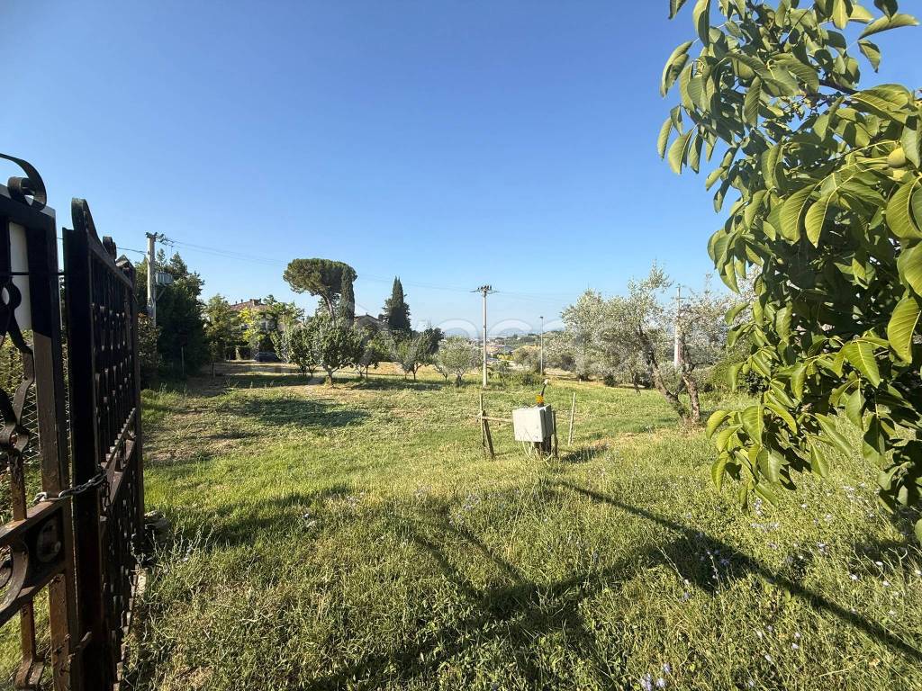 immagine annuncio 8 di 14