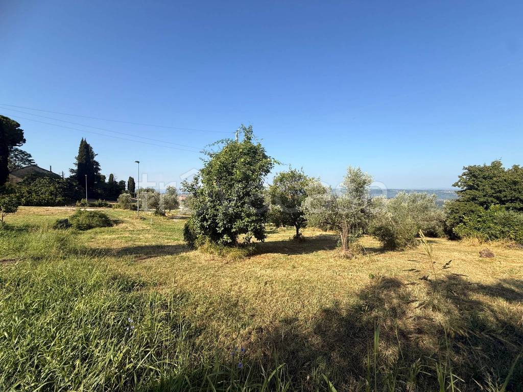 immagine annuncio 11 di 14