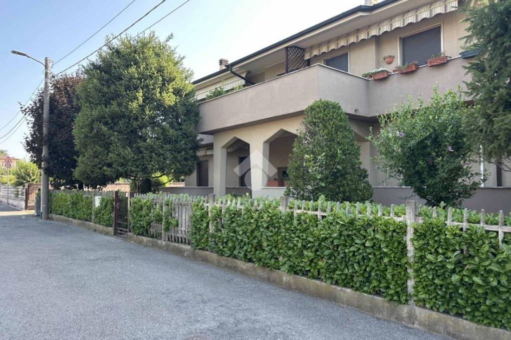 immagine annuncio 1 di 15