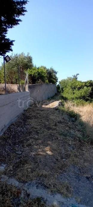immagine annuncio 4 di 6