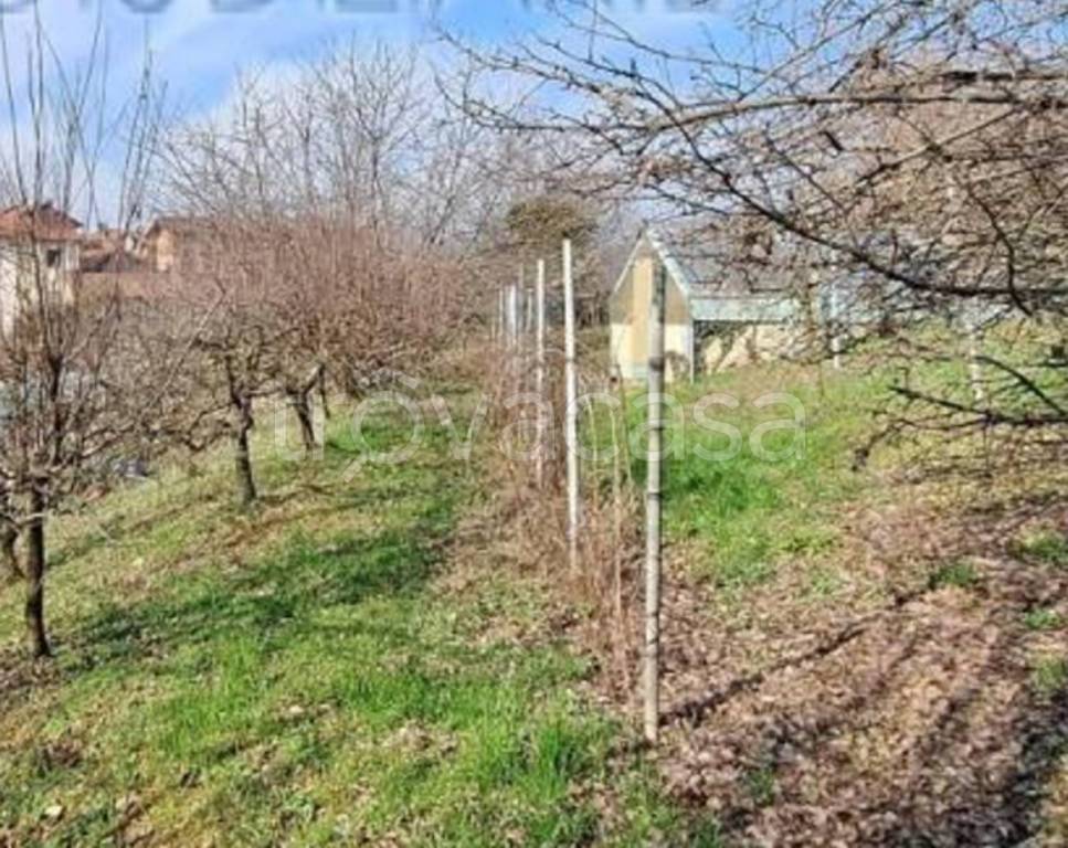 immagine annuncio 1 di 12