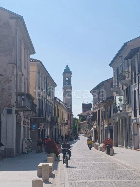 immagine annuncio 5 di 13