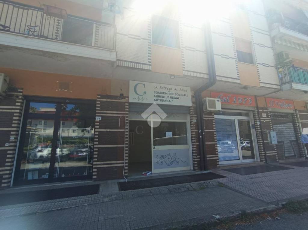 immagine annuncio 11 di 14