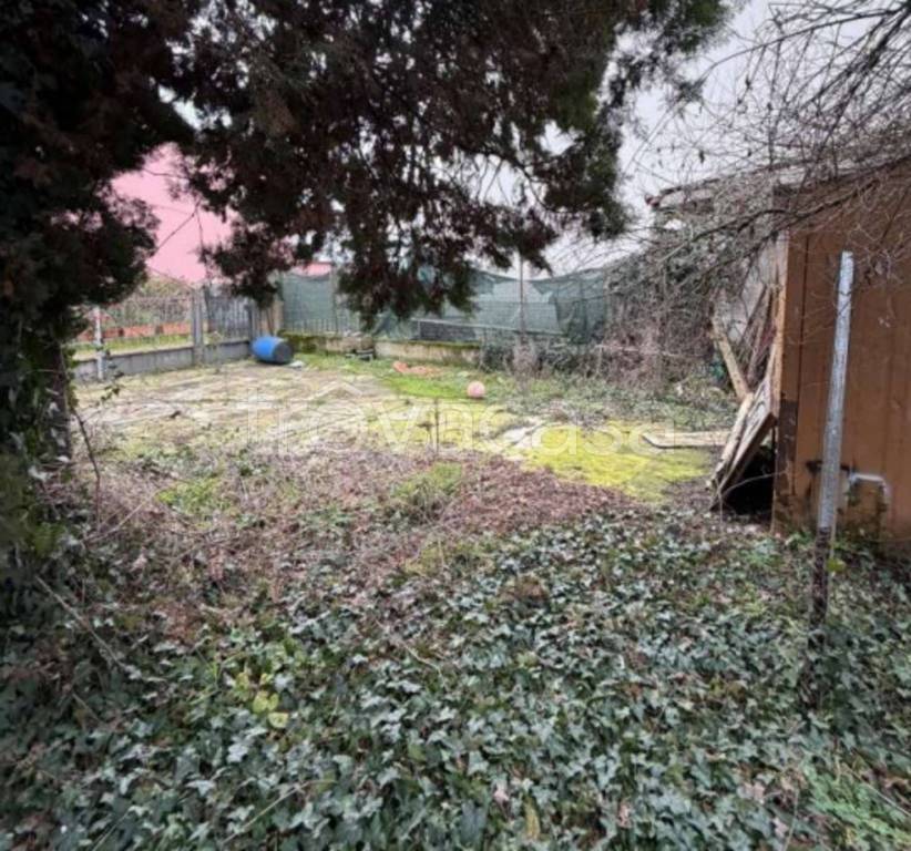 immagine annuncio 5 di 11