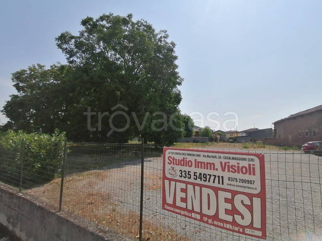 immagine annuncio 4 di 7