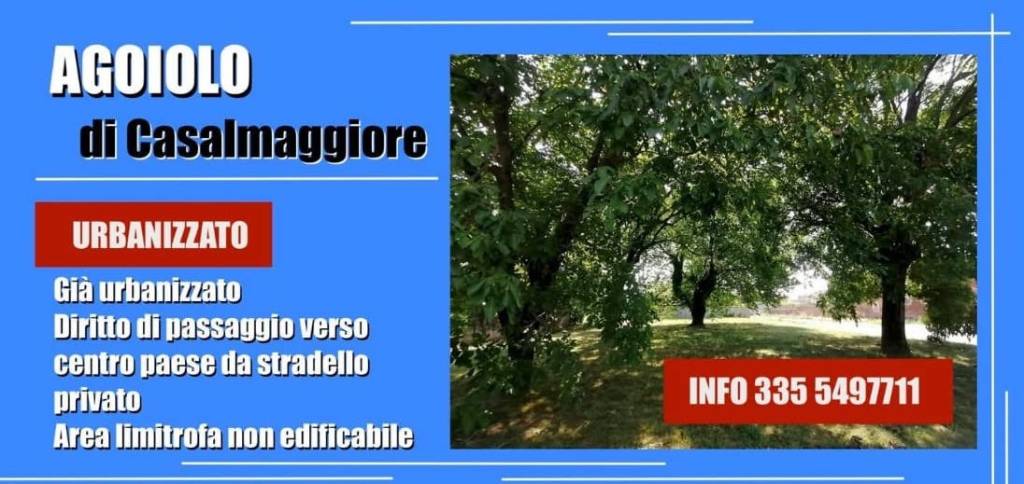 immagine annuncio 5 di 7