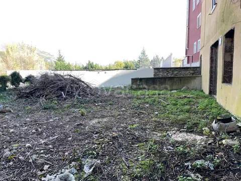 immagine annuncio 2 di 6