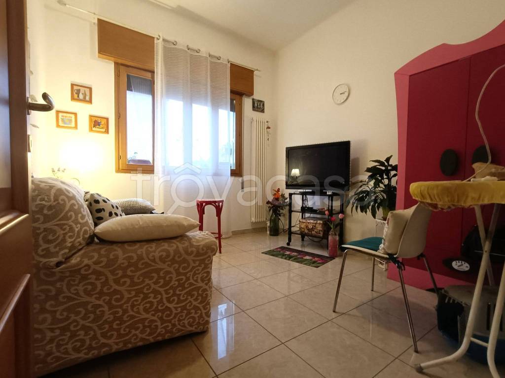 immagine annuncio 5 di 14