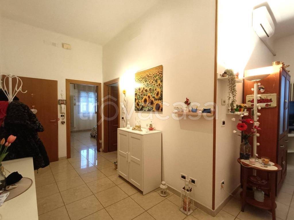 immagine annuncio 8 di 14