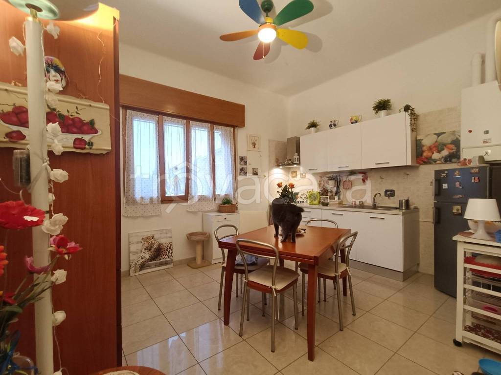 immagine annuncio 2 di 14