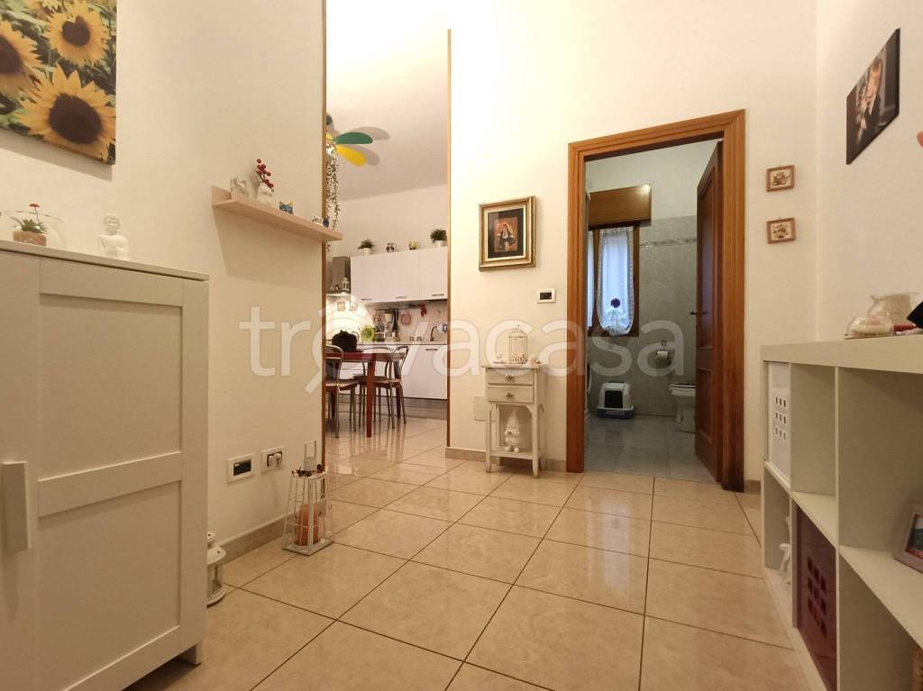 immagine annuncio 3 di 14