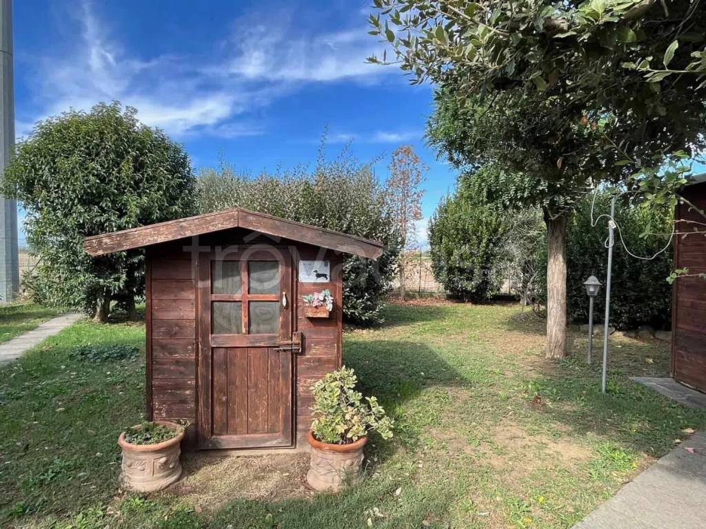 immagine annuncio 5 di 15