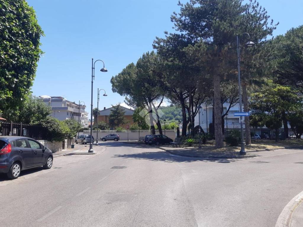 immagine annuncio 11 di 14