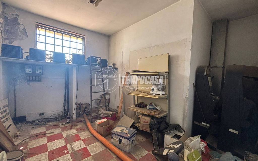 immagine annuncio 3 di 12