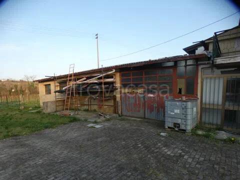 immagine annuncio 2 di 11